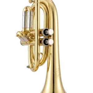 CORNETA 2 PISTONES CON SALIVERO AP-563-2L