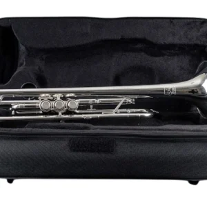 Trompeta AP-273S