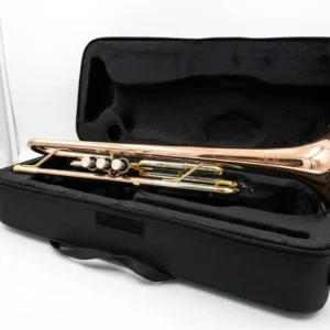 Trompeta AP-277G